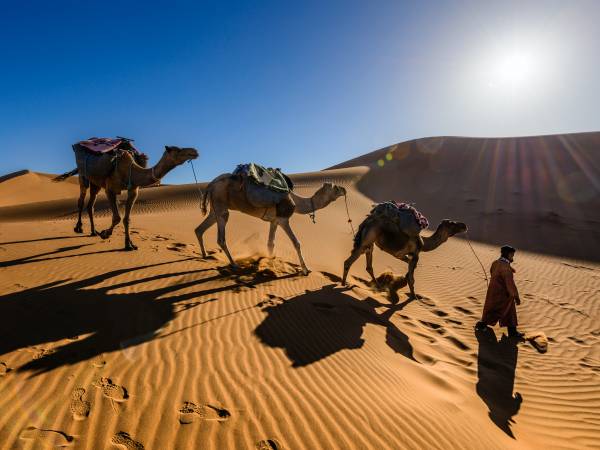 Look out for our 3 new and upcoming destinations Morocco, United Arab Emirates and Jordan…